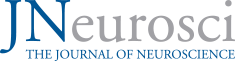 jNeuro